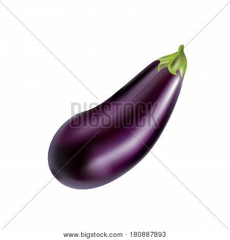 Eggplant photo realistic made with mesh gradient.
