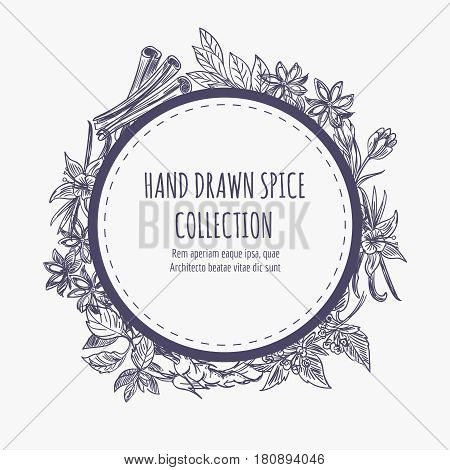 Hand drawn spice collection round banner or frame design. Kitchen dcorative element vector illustration