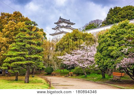 Akashi, Japan at Akashi Castle in spring.