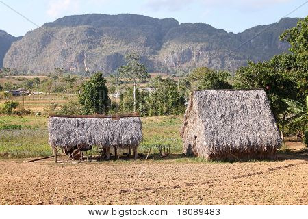 Cuba - Viñales