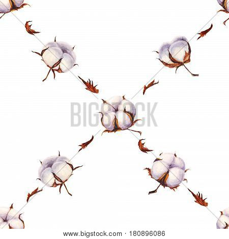 Watercolor cotton flowers seamless pattern on white background