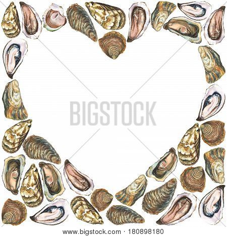 White heart on watercolor hand painted oysters background