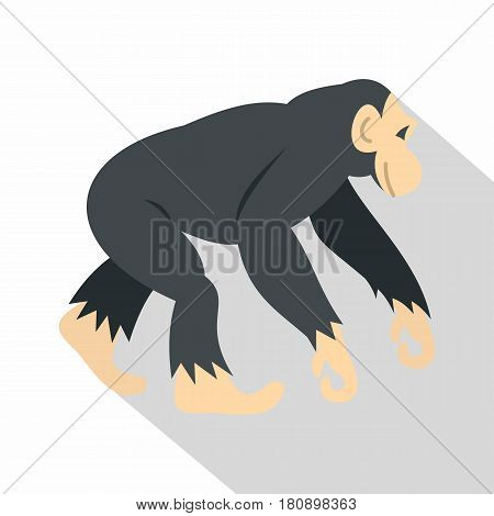 Chimpanzee icon. Flat illustration of chimpanzee vector icon for web