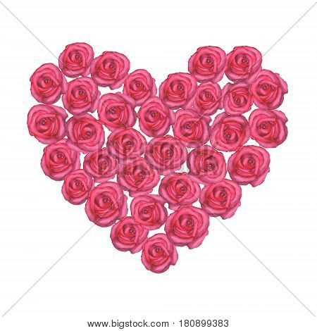 Watercolor hand painted heart with pink roses on white background