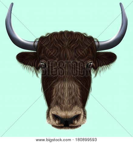 Illustrated portrait of Domestic yak. Cute fluffy brown face of Bovid on blue background.