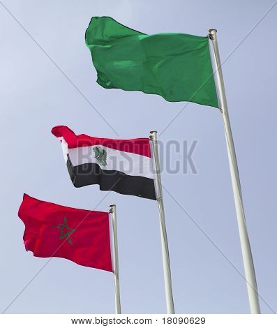 Afrikaanse Arabische Staten vlaggen