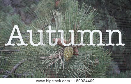 Perfect art to accompany an article about the Autumn season