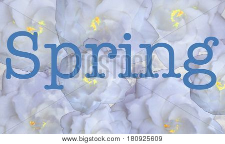 Perfect art to be used with an article about the Spring
