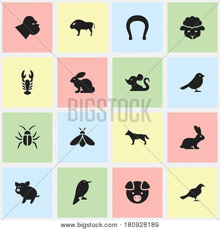 Set Of 16 Editable Animal Icons. Includes Symbols Such As Rat, Swine, Honey And More. Can Be Used For Web, Mobile, UI And Infographic Design.