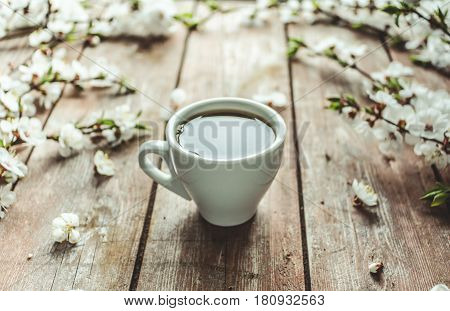 Cup Of Hot Black Coffee In Female Hands On A Wooden Vintage Desk With Spring White Flowers Apricorn.