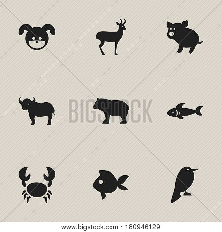 Set Of 9 Editable Zoology Icons. Includes Symbols Such As Turbot, Ox, Lobster And More. Can Be Used For Web, Mobile, UI And Infographic Design.
