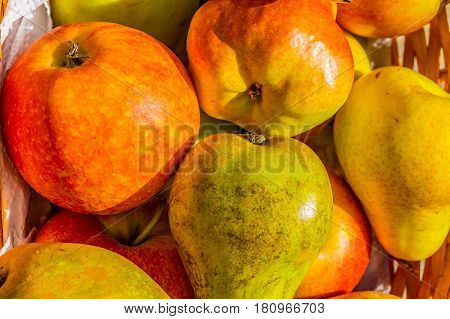 cox apples and blush and conference pears