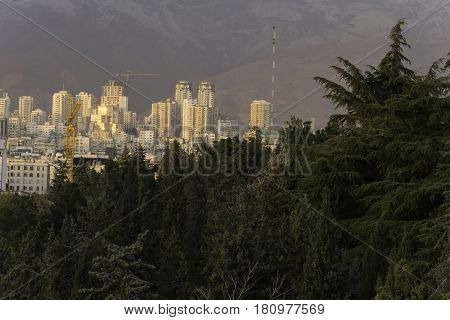 Tehran Province- IRAN-November ‎20 ‎2015 Tehran Northern Part Skyline Behind Trees Ab-o-Atash Park Viewpoint.