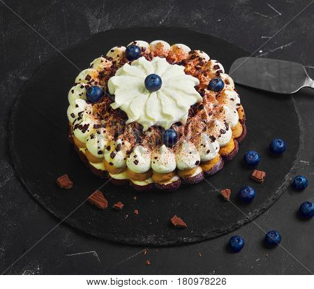 Chocolate-berry Savoyardi Ice-cream cake torte. Ingredients for blueberry ice cream cake torte and chocolate pieces. Dark black background.