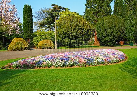 Vacker Park med 3 färg blommor