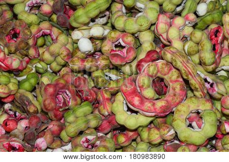 Manila tamarind Pithecellobium dulce (Roxb.) Benth .