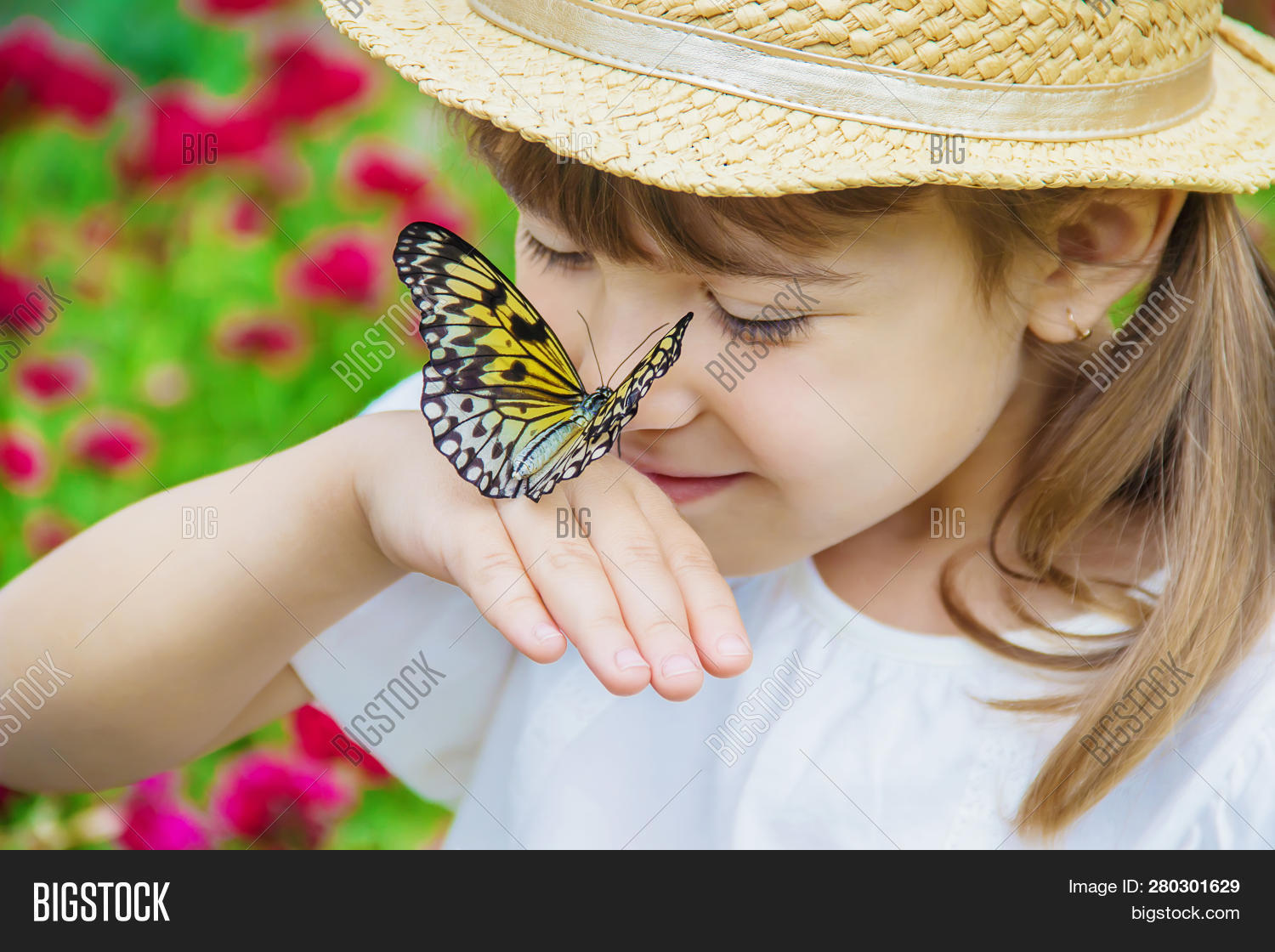 бабочка с тремя парами крыльев. бабочка способом монотипия. насекомые для детей. дети наблюдают за природой. бабочка для малышей.