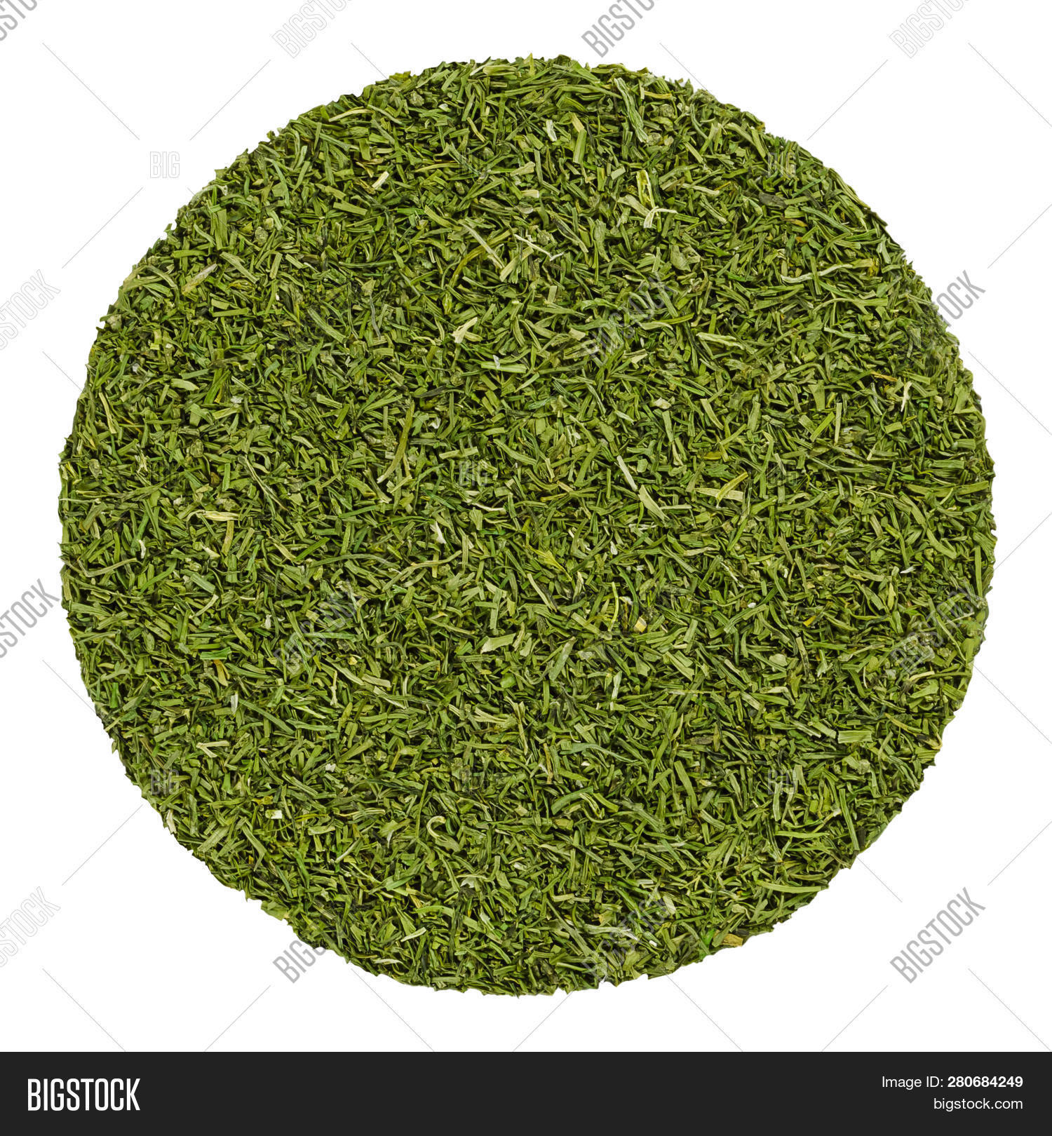 Dried Dill Fronds. Image & Photo (Free Trial) Bigstock