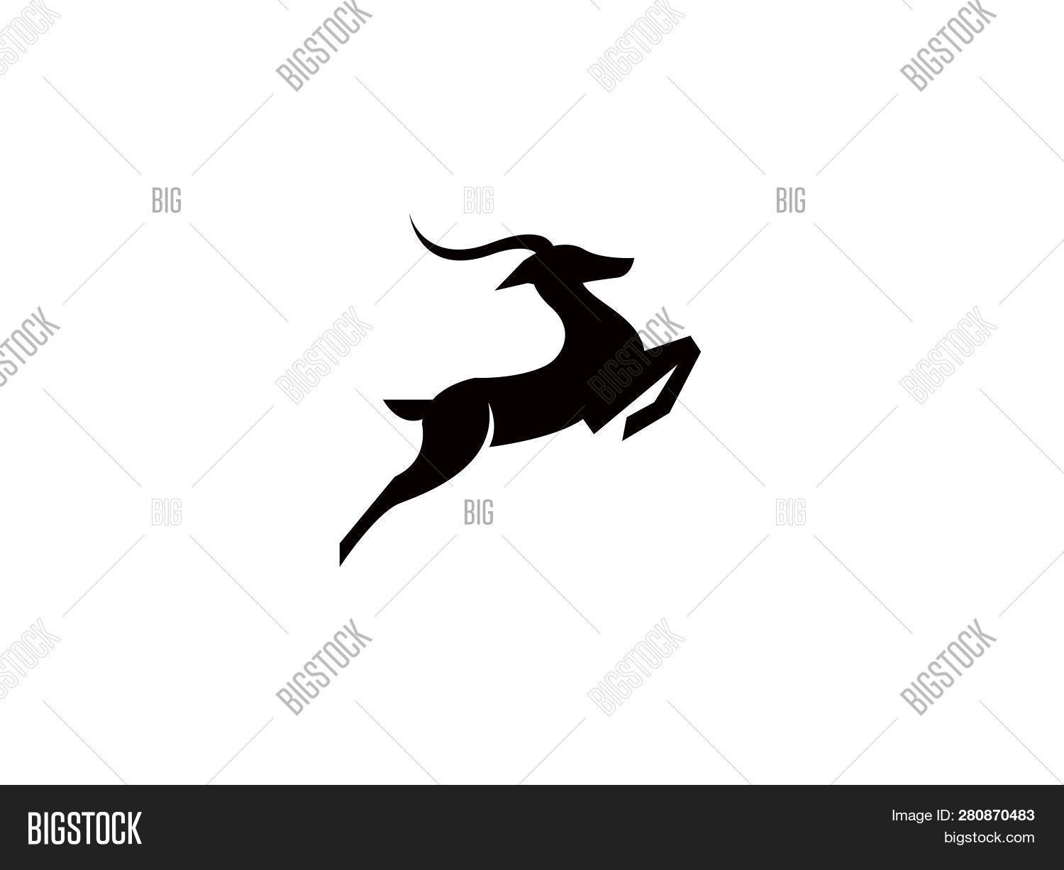 Deer Hind Run Jump Vector Photo Free Trial Bigstock