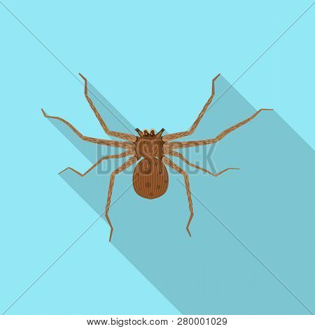 Vector Design Of Insect And Fly Icon. Set Of Insect And Element Vector Icon For Stock.