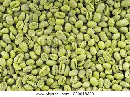 Green Coffee Beans Background. Medium Green Peaberry Coffee Beans.
