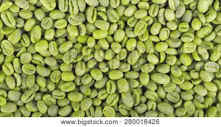 Green Coffee Beans Background. Medium Green Peaberry Coffee Beans.