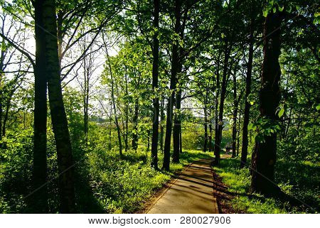 Asphalt Track In The Park In Spring, Moscow