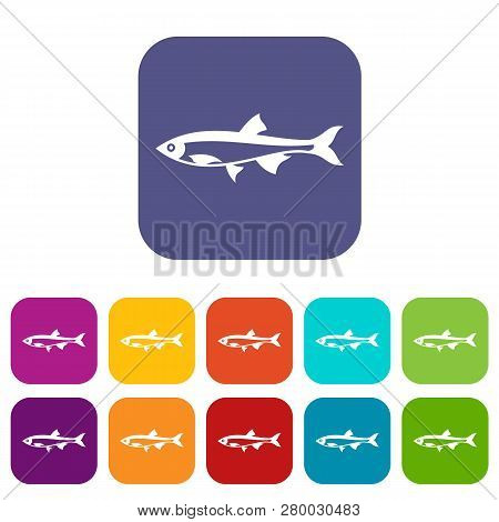 Herring Fish Icons Set Illustration In Flat Style In Colors Red, Blue, Green, And Other