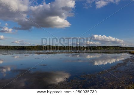 View Of Fjord And Meadows Near Holbaek, Denmark