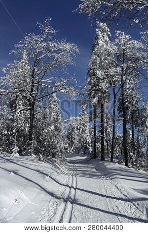 Popular Ski And Cross-country Ski Resort Paprsek In The Golden Mountains (czech: Rychlebske Hory), C