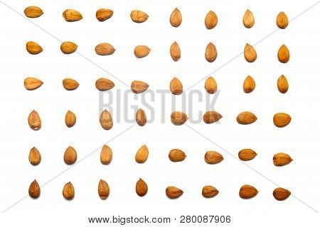 A Collection Of Apricot Stone Lie In Horizontal Rows On An Isolated White Background. With Clipping 
