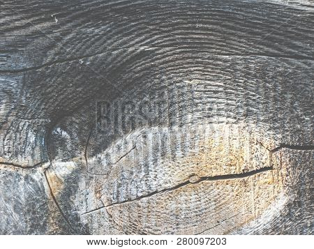 Old Wooden Board With Natural Texture, Illuminated By The Sun