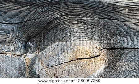 Old Wooden Board With Natural Texture, Illuminated By The Sun