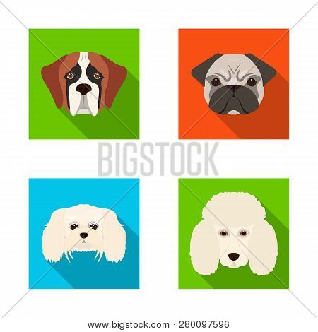 Vector Design Of Cute And Puppy Sign. Collection Of Cute And Animal Vector Icon For Stock.