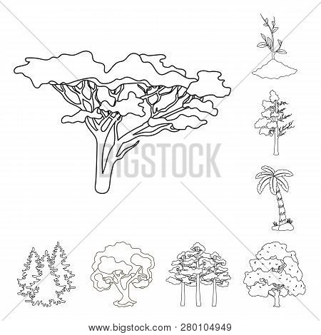 Vector Design Of Tree  And Forest Icon. Set Of Tree  And Green Vector Icon For Stock.