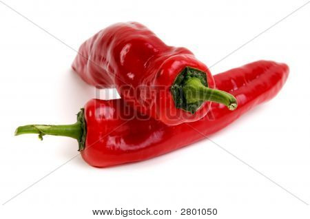 Hot And Spicy