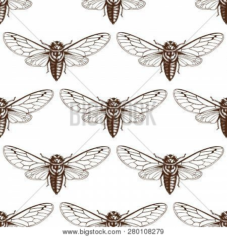Cicada_pattern_1