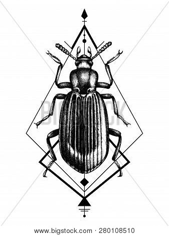 Darkling Beetle Tattoo