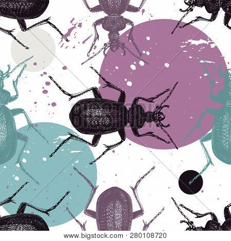 Huge Violet Ground Beetle Pattern With Colorful Paint Spots. Seamless Background With Hand Dawn Inse