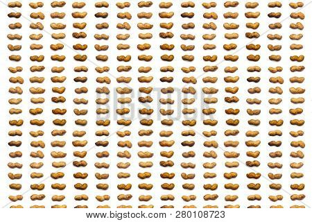 A Collection Of Unpeeled Peanuts Lie In Horizontal Rows On An Isolated White Background. With Clippi