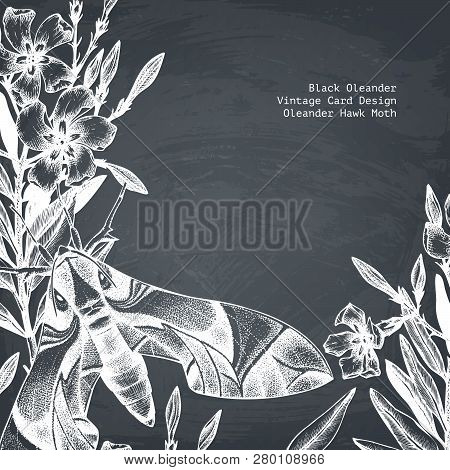 Oleander Flower Card 2