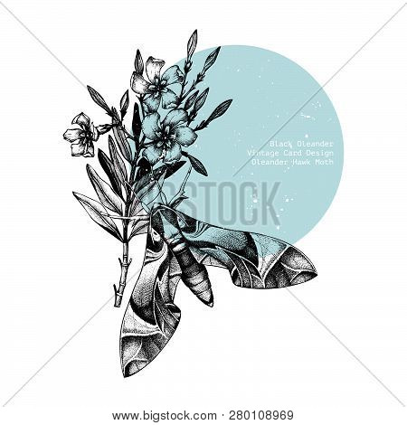 Oleander Flower Card 3