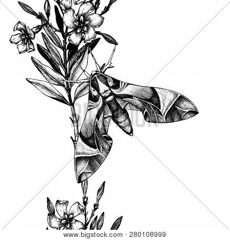 Oleander Pattern