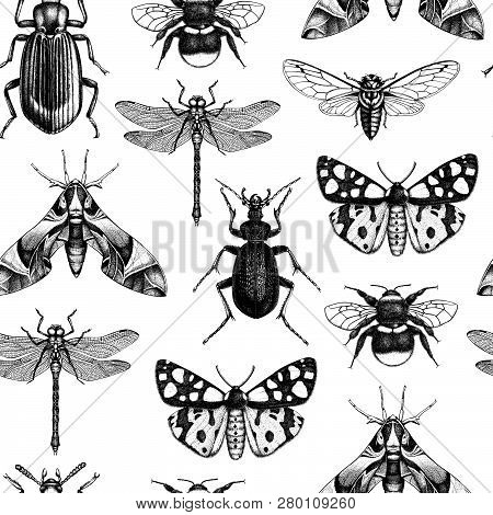 Isects_pattern_1
