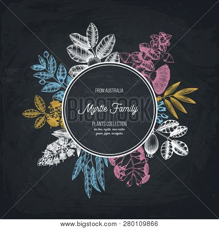 Mirtle Family Plants Card 3 2