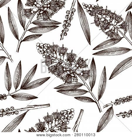 Vintage Background With Hand Drawn Tea Tree Sketches. Cosmetics And Medical Myrtle Plant Seamless Pa