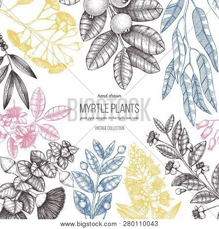 Mirtle Family Plants Card 2