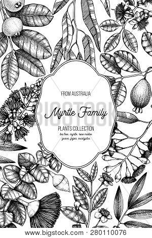 Mirtle Family Plants Card 4 1