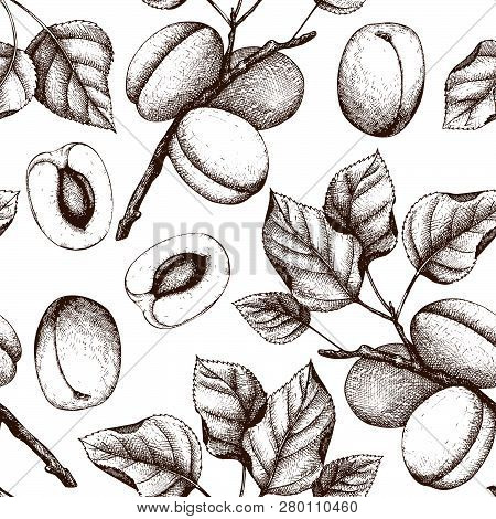 Apricot Fruit Pattern 1