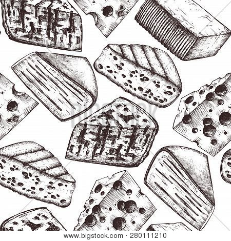 Vector Background With Cheese Sketches. Hand Drawn Restaurant Food Illustrations On White Background